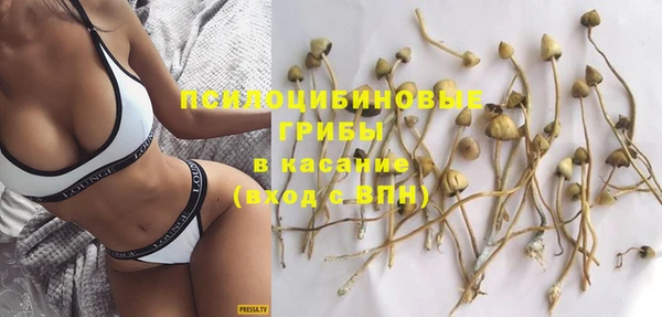 меф Пестово